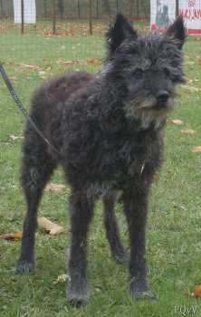  Email du Pré aux Vanneaux